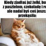 Coś delikatnego