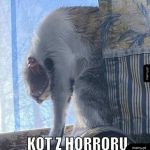 Miał