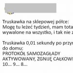 Samozagłada