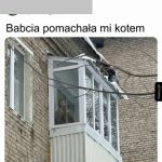Kot widzę przeszczęśliwy
