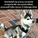 Miłego dnia