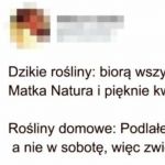 Dzikie rośliny vs domowe