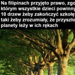 Jednak da się normalnie walczyć o planetę