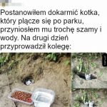 Ziomki