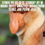Po co ci te studia