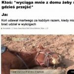 Za każdym razem