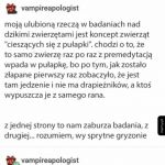 Normalka