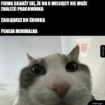 No tak
