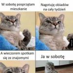 Plany, plany i po planach