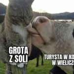 Sprawdzę tylko