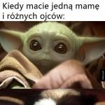 Niby bracia