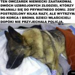 Bohater