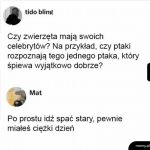 Dobre pytanie
