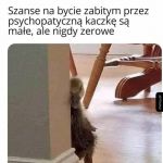 Kaczka