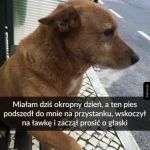 Miał penie gorszy dzień