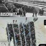 Auschwitz - Gaza