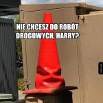 Hary Poter