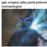 10/10