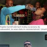 Gratulacje