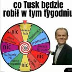Losowanko