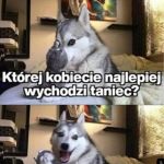 Tańcz, Danuto