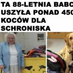 Pracowita babcia