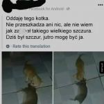 Straszny kot