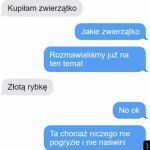 Złota rybka