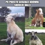 Siedzą sobie