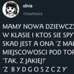 Wieś pod Toruniem