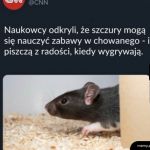 Słodziaki