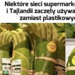Liście bananowca