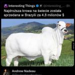 Też to widzę