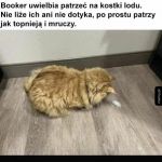 Fizyka to jego pasja