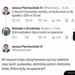 Lochy i loszki