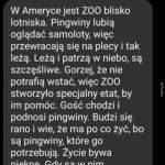Praca marzeń