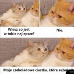 Czekoladowe ciastko
