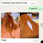 Rozpruł się