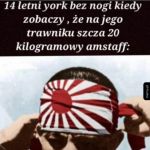 Kwestia honoru