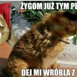 W koło te saszety