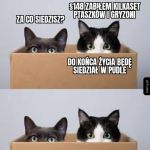 Recydywista
