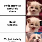 Zakupy