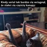 Serial