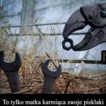 Sama natura