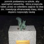 Cute pomnik wiewiórki