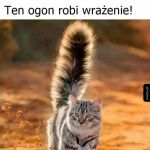Ogon