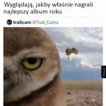 Najlepszy album roku