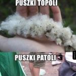 Puszki