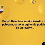 Srogi zawód