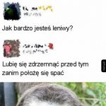 Lenistwo